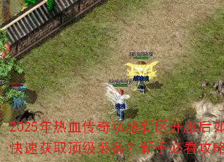 2025����Ѫ����˽��������������ο��ٻ�ȡ����װ�������ֱؿ����Խ���