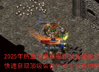 2025����Ѫ����˽��������������ο��ٻ�ȡ����װ�������ֱؿ����Խ���