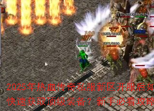 2025����Ѫ����˽��������������ο��ٻ�ȡ����װ�������ֱؿ����Խ���