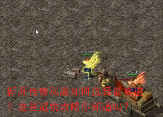 �¿�����˽�����ѡ����ף���Щ�ܿӹ�����֪����