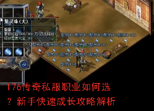 176����˽��ְҵ���ѡ�����ֿ��ٳɳ����Խ���