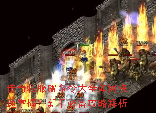 ����˽��GM�����ȫ��ο������գ����ֱر����Խ���