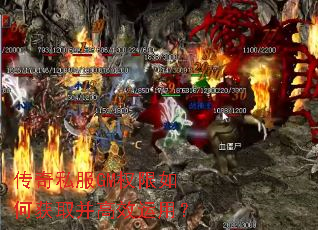 ����˽��GMȨ����λ�ȡ����Ч���ã�