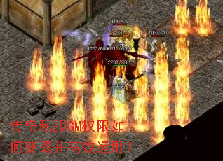 ����˽��GMȨ����λ�ȡ����Ч���ã�