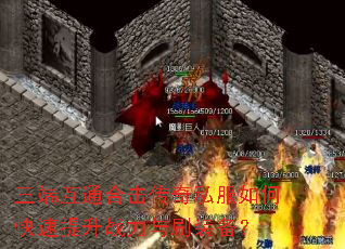 ���˻�ͨ�ϻ�����˽����ο�������ս����ˢװ����