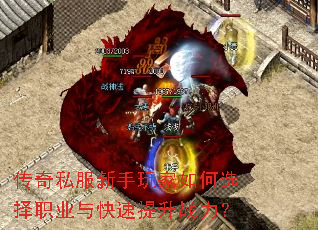 ����˽������������ѡ��ְҵ���������ս����