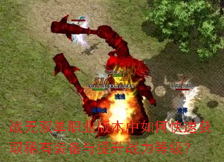 ս��˫��ְҵ�汾����ο��ٻ�ȡϡ��װ��������ս���ȼ���