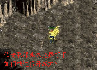 ����˽���������������ο�������ս����