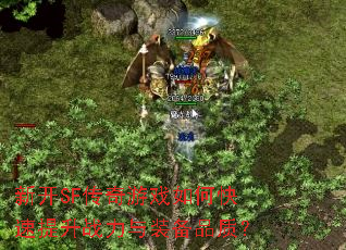 �¿�SF������Ϸ��ο�������ս����װ��Ʒ�ʣ�