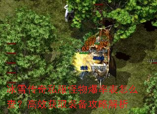 ��ѩ����˽�����ﱬ�ʱ���ô�飿��Ч��ȡװ�����Խ���