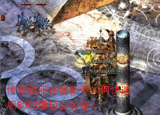 ����˽������������ο���ˢBOSS����Ʒװ����