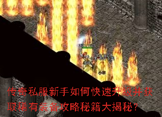 ����˽��������ο�����������ȡϡ��װ�������ؼ�����أ�