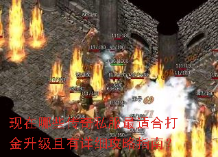 ������Щ����˽�����ʺϴ������������ϸ����ָ�ϣ�