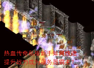 ��Ѫ����˽��������ο�������ս����Ϊ������������