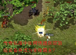 传奇私服中如何快速获取顶级装备并成为全服霸主? 传奇私服中如何快速获取顶级装备并成为全服霸主?