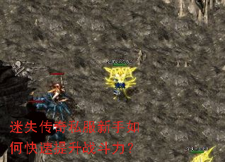 ��ʧ����˽��������ο�������ս������