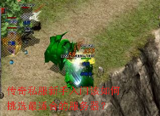 ����˽���������Ÿ������ѡ���ʺϵķ�������