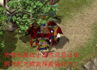 传奇私服战士属性点应该如何分配才能发挥最强战力? 传奇私服战士属性点应该如何分配才能发挥最强战力?