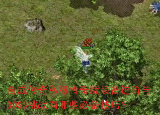 合成传奇私服传奇版装备进阶与BOSS挑战有哪些必备技巧? 合成传奇私服传奇版装备进阶与BOSS挑战有哪些必备技巧?