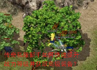传奇私服新手如何快速提升战力等级并获取高级装备? 传奇私服新手如何快速提升战力等级并获取高级装备?