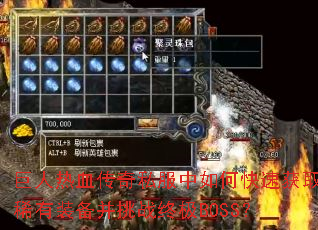 ������Ѫ����˽������ο��ٻ�ȡϡ��װ������ս�ռ�BOSS��