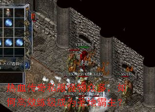 ��Ѫ����˽�������ڶ࣬��θ�Ч������Ϊʥ�ذ�����