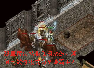 ��Ѫ����˽�������ڶ࣬��θ�Ч������Ϊʥ�ذ�����