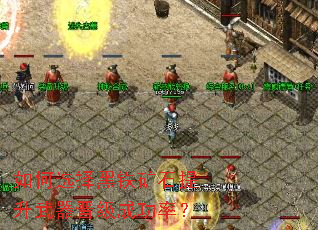 ���ѡ�������ʯ�������������ɹ��ʣ�