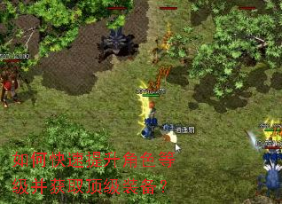 如何快速提升角色等级并获取顶级装备? 如何快速提升角色等级并获取顶级装备?