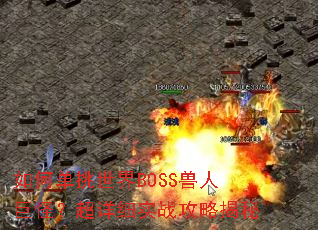 ��ε�������BOSS���˾޹֣�����ϸʵս���Խ���