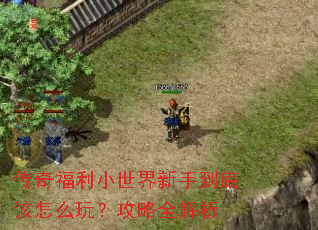 ���渣��С�������ֵ��׸���ô�棿����ȫ����