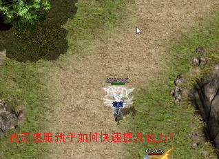 �����ѷ�������ο�������ս����