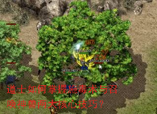 道士如何掌握施毒术与召唤神兽两大核心技巧? 道士如何掌握施毒术与召唤神兽两大核心技巧?