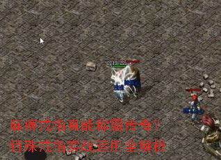 ��Խ�ָ���ܳưԴ��棿�����ָʵս����ȫ����