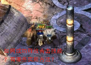 ��γɹ��ͷźϻ����ܣ�����Щʵ�÷�����