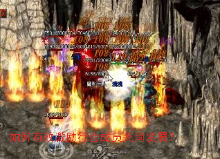 �����Ч�����л��Ա��ͬ��չ��