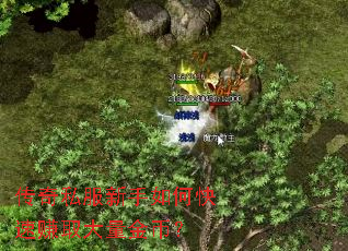 ����˽��������ο���׬ȡ������ң�