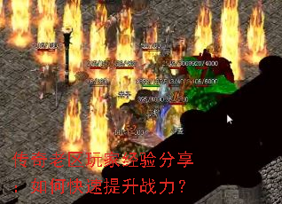 ����������Ҿ����������ο�������ս����