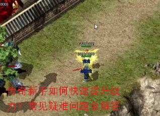 ����������ο�������ս����������������ȫ���