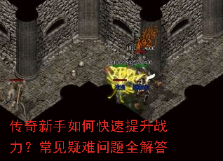 ����������ο�������ս����������������ȫ���