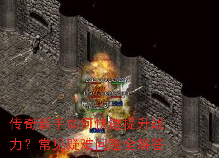 ����������ο�������ս����������������ȫ���