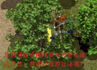 如何通过合理PK参与传奇私服会员战,共建和谐游戏环境? 如何通过合理PK参与传奇私服会员战,共建和谐游戏环境?
