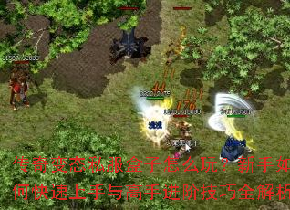 �����̬˽��������ô�棿������ο�����������ֽ��׼���ȫ����