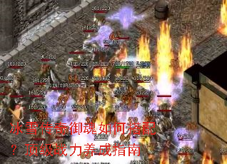 ��ѩ����������δ��䣿����ս������ָ��