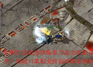 ��δ���ս���Ǻ������������ǿ��ɫ����սII��ְҵ�ռ�����ȫ����