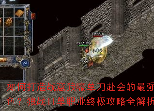 ��δ���ս���Ǻ������������ǿ��ɫ����սII��ְҵ�ռ�����ȫ����