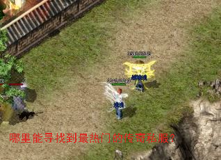 ������Ѱ�ҵ������ŵĴ���˽����