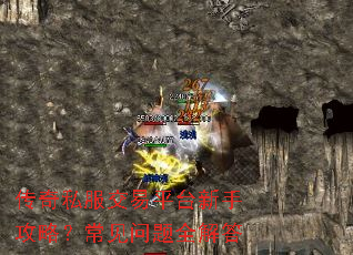 ����˽������ƽ̨���ֹ��ԣ���������ȫ���