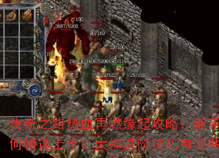 ����֮·��Ѫ��ȼԵ���ԣ�������ο������֣�������׼�������Щ��