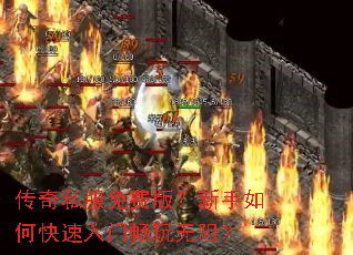 ����˽����Ѱ棿������ο������ų������裿